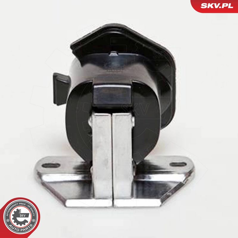 ESEN SKV 03SKV191 Ignition Coil