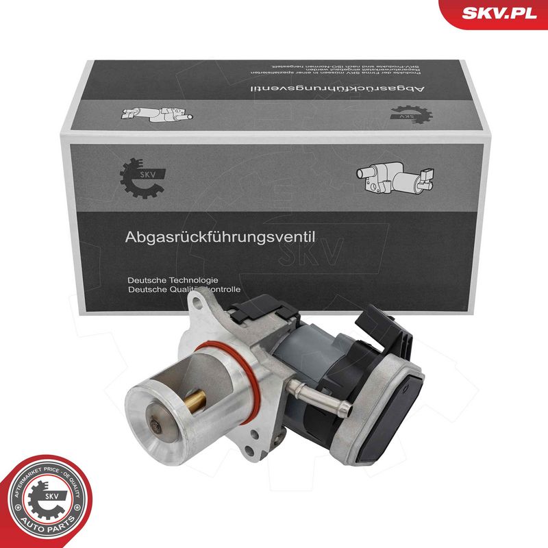 EGR-klapp, ESEN SKV 14SKV310
