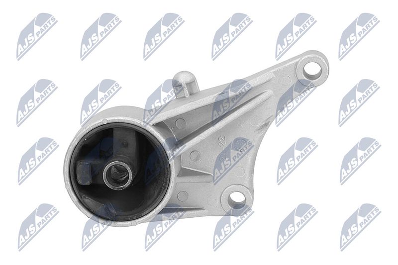 Paigutus, Mootor, NTY ZPS-PL-015