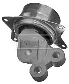 BEM3994_210786.JPG