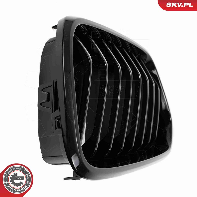 ESEN SKV 66SKV245 Radiator Grille