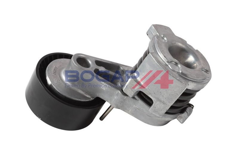 Tensor para Correa Poly V BOGAP B1317107 - 4