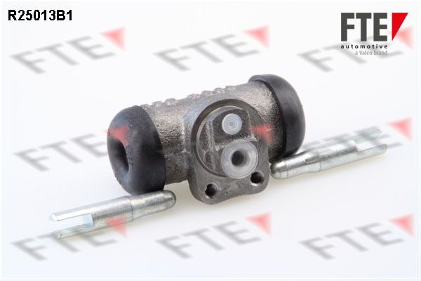 R25013B1.JPG