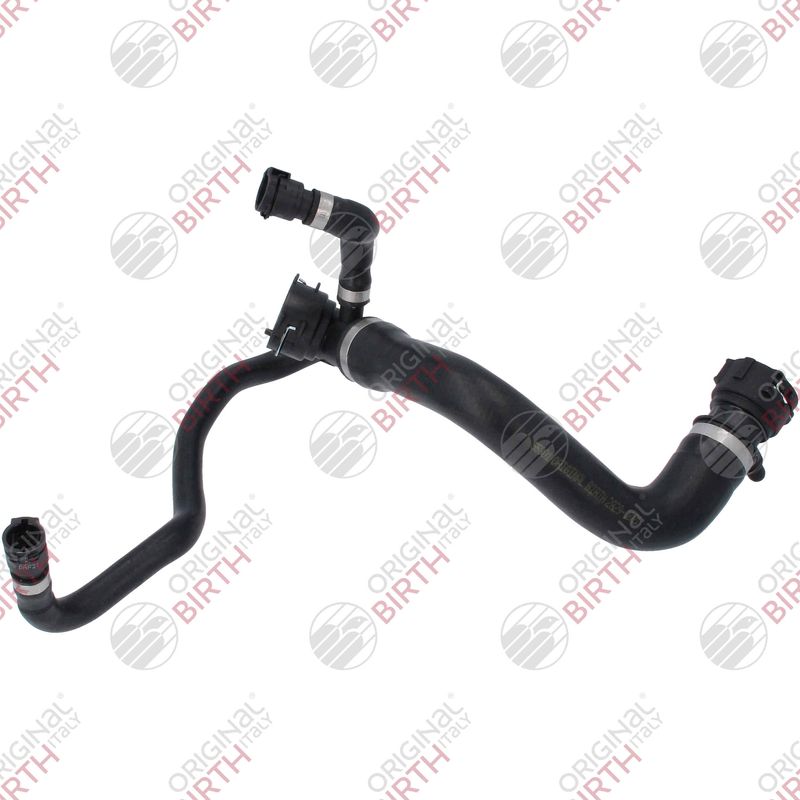 BIRTH 55301 - Radiator Hose