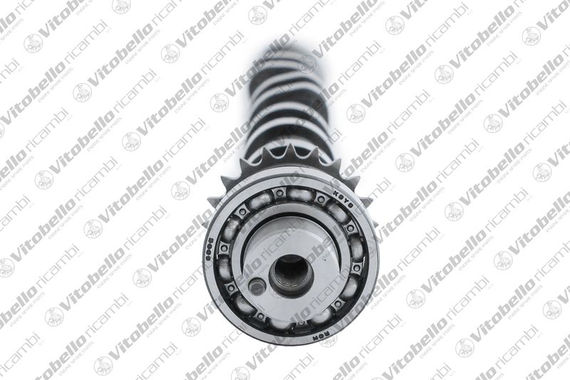 Vitobello ricambi 1004399NO Camshaft