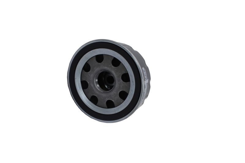 AUTOMEGA 180043810 Oil Filter