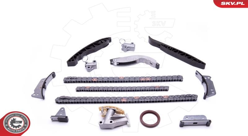 ESEN SKV 21SKV223 Timing Chain Kit