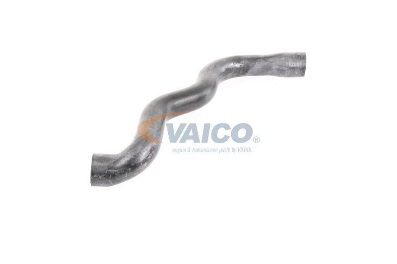 VAICO V30-2915 Radiator Hose