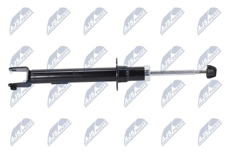 Amort, NTY A-CH-070