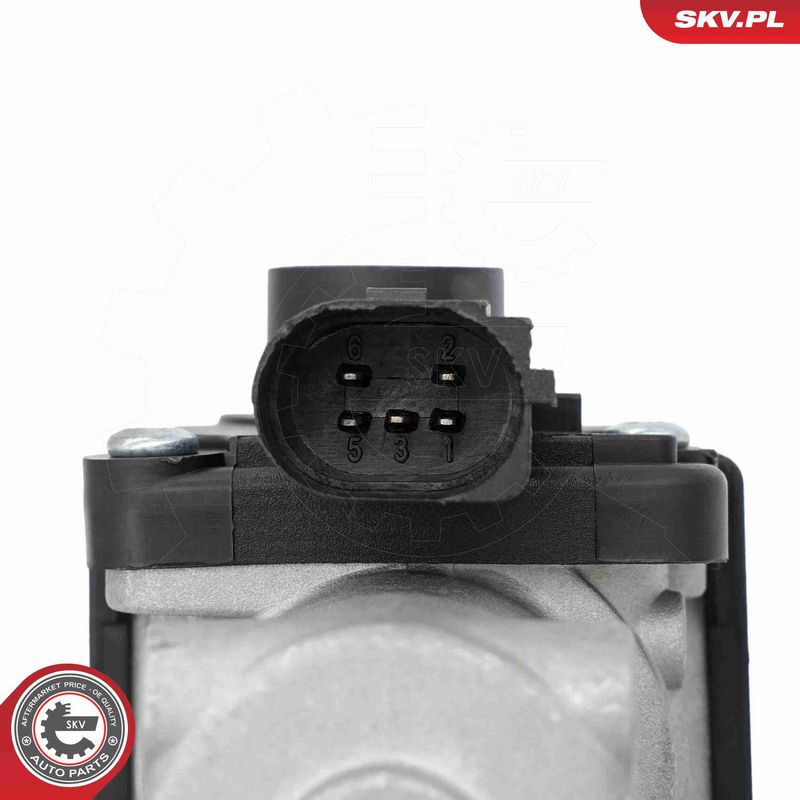 ESEN SKV 14SKV322 EGR Valve