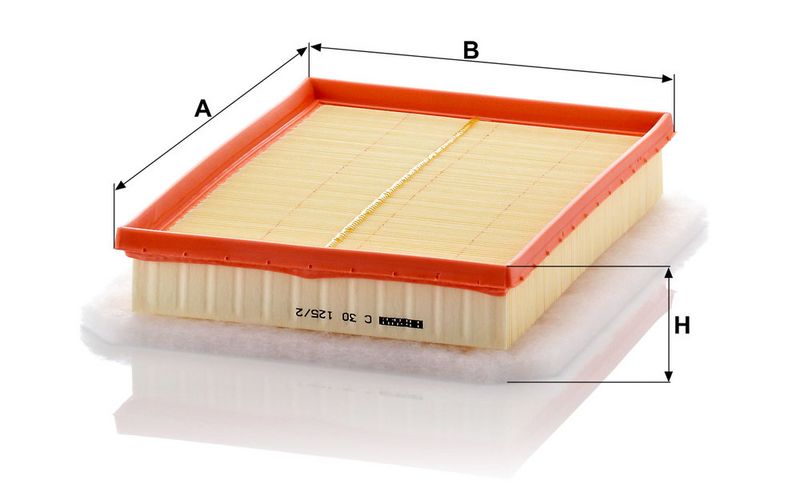 MANN-FILTER C30125/2 Air Filter
