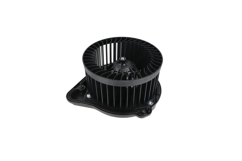 Salongipuhur, NRF 34136