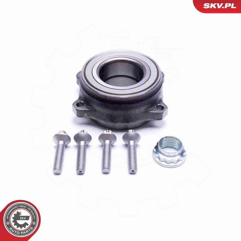 ESEN SKV 29SKV508 Rato guolio komplektas