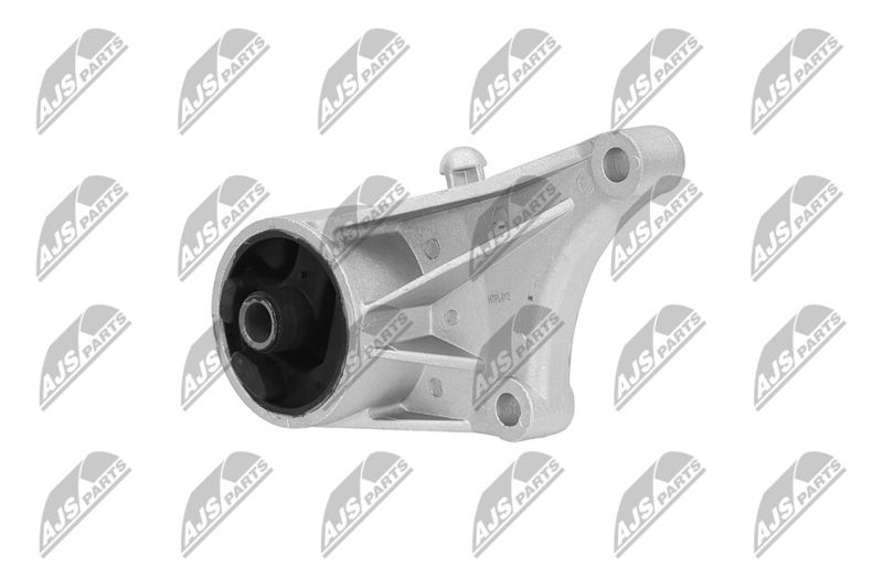 Paigutus, Mootor, NTY ZPS-PL-012