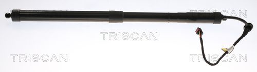 TRISCAN Gasveer, kofferruimte 8710 29301