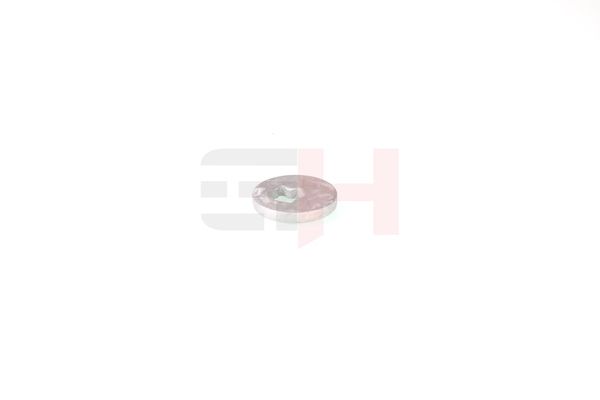 caster shim, sillatala, GH GH-391583