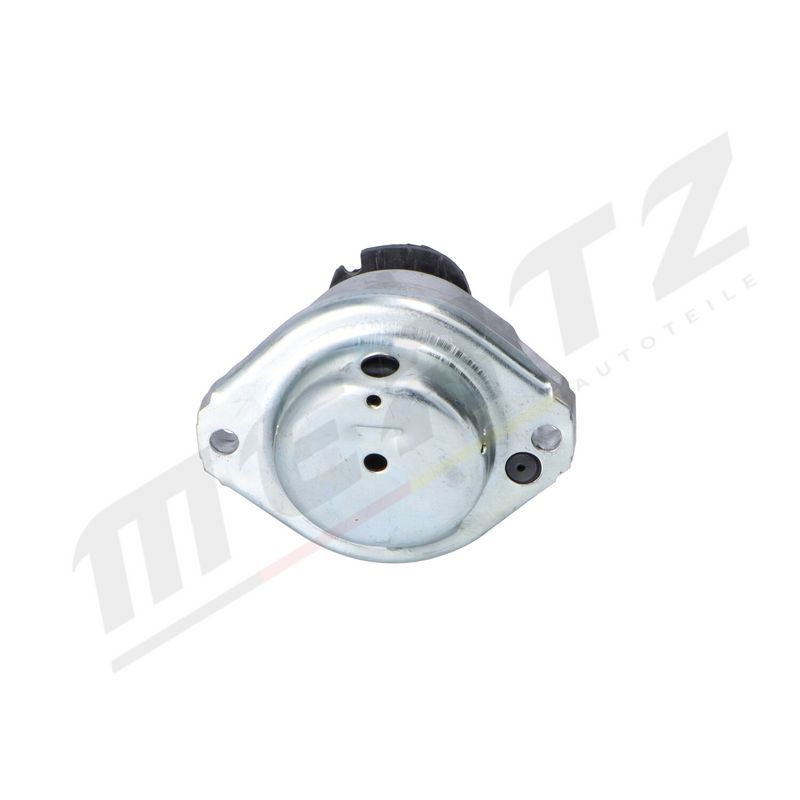 MERTZ M-S5311 Mounting, engine