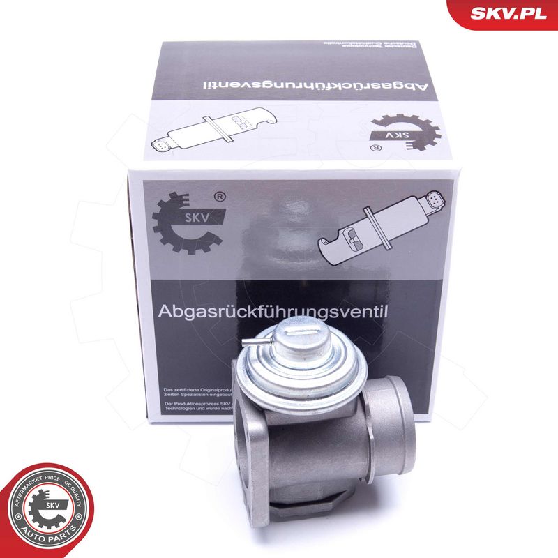 EGR-klapp, ESEN SKV 14SKV174
