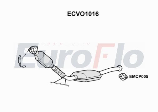 ecvo1016.JPG