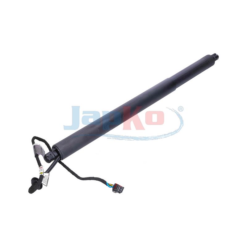 JAPKO ZJ-LR04 - Electric Motor, tailgate
