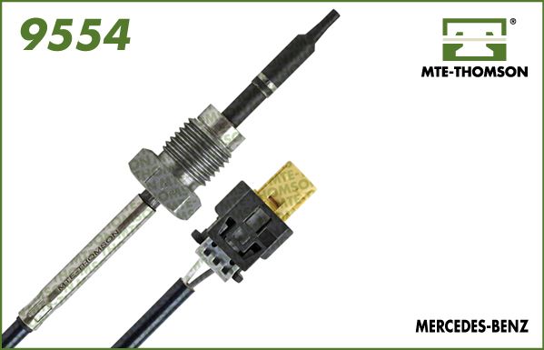 9554.JPG