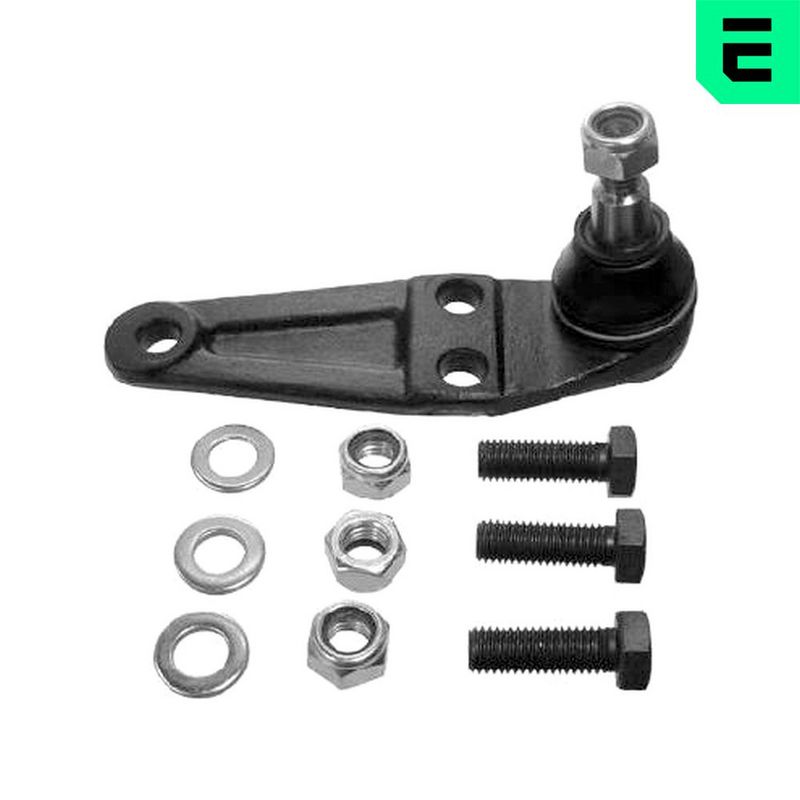 Kande-, juhtliigend,...