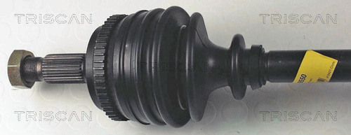 854038550_2.JPG