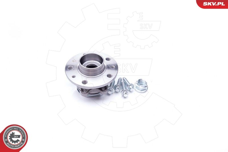 ESEN SKV 29SKV172 Wheel Bearing Kit