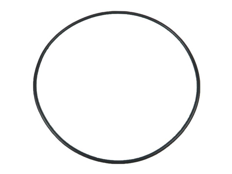 Brand new AS-PL Starter motor o-ring