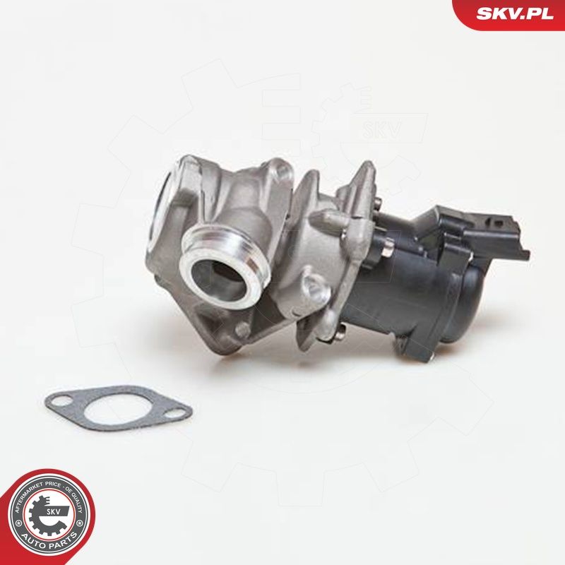EGR-klapp, ESEN SKV 14SKV027