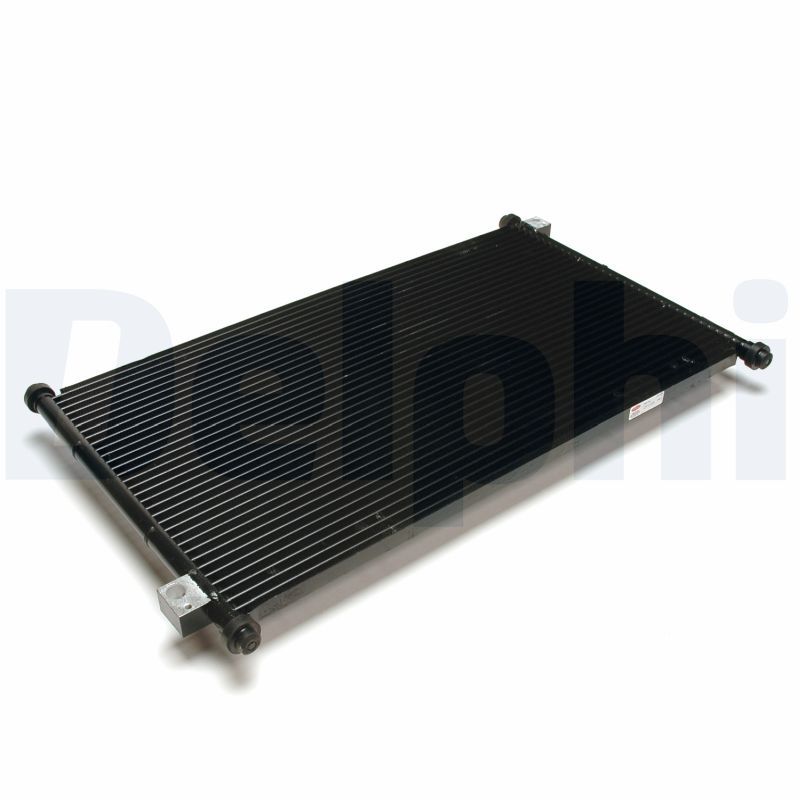 CF1133.JPG