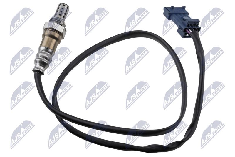 ESL-BM-026_1-WM.JPG