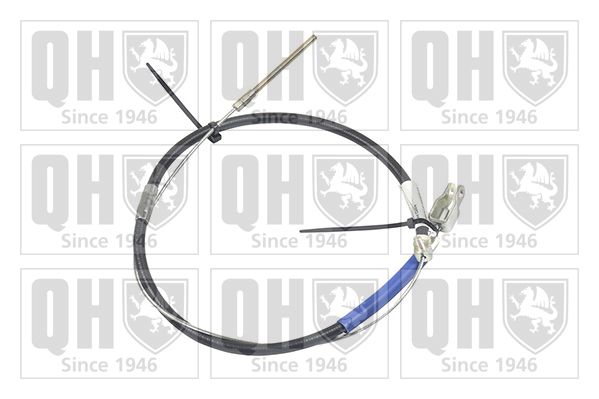 QH_BC403.JPG