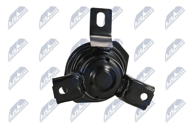 Paigutus, Mootor, NTY ZPS-MS-069