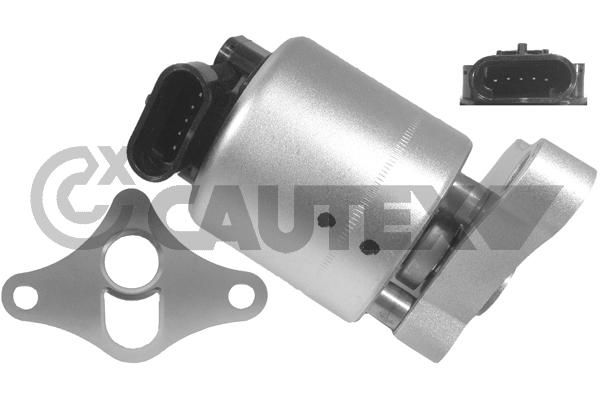 Válvula EGR CAUTEX 960016