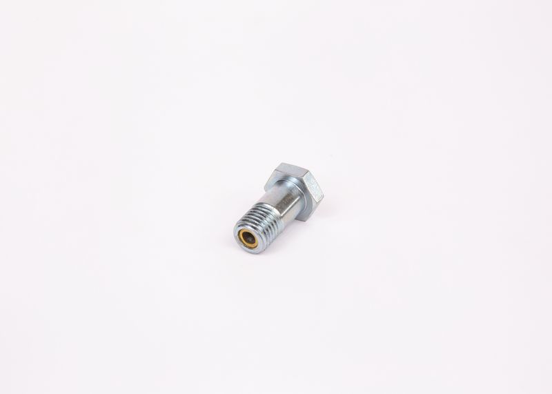 Surub 1 463 456 344 BOSCH