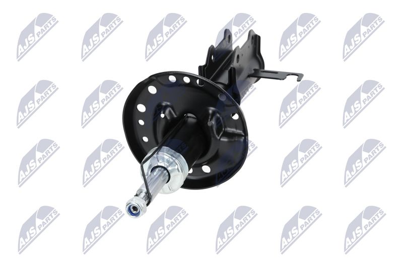 Amort, NTY A-PL-029