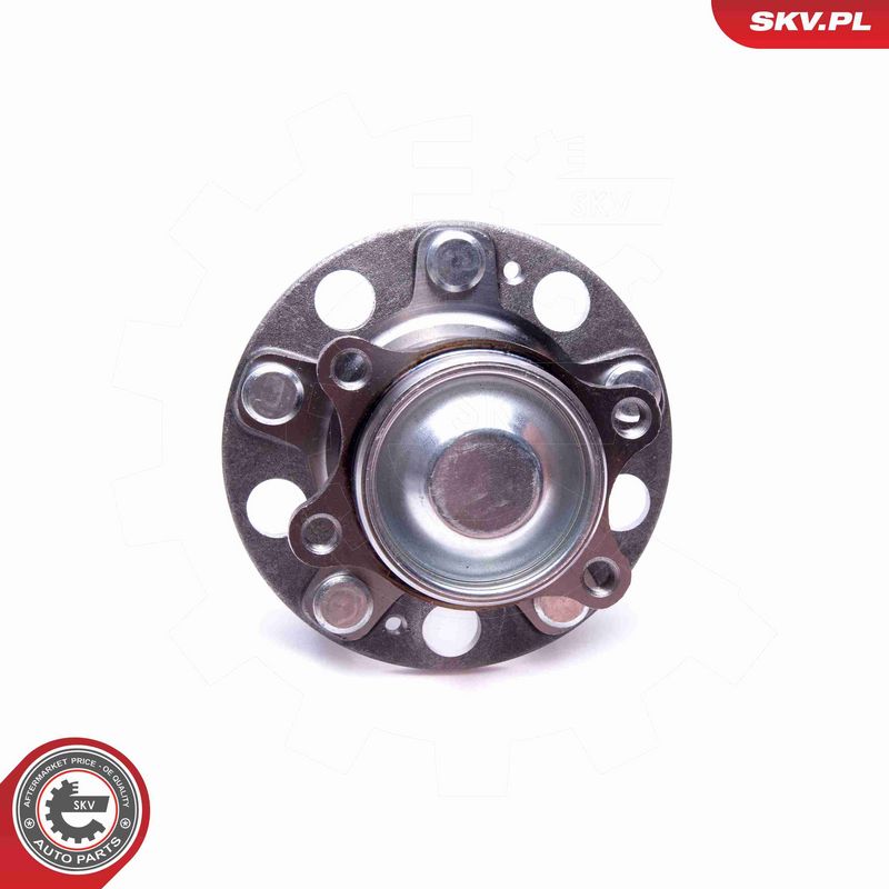 ESEN SKV 29SKV540 Wheel Bearing Kit