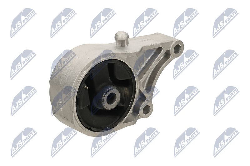 Paigutus, Mootor, NTY ZPS-PL-074