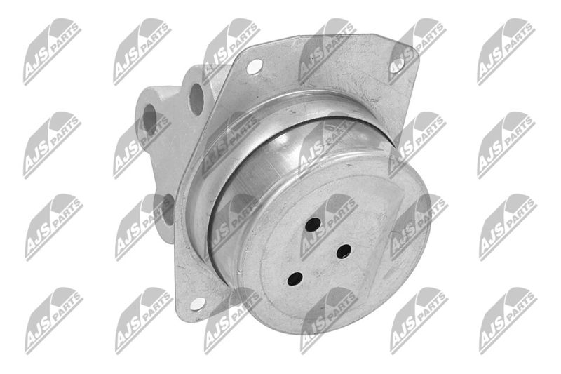 Paigutus, Mootor, NTY ZPS-PL-025