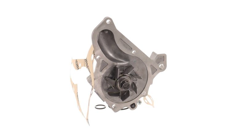 SKF VKPC91613 Water Pump, engine cooling