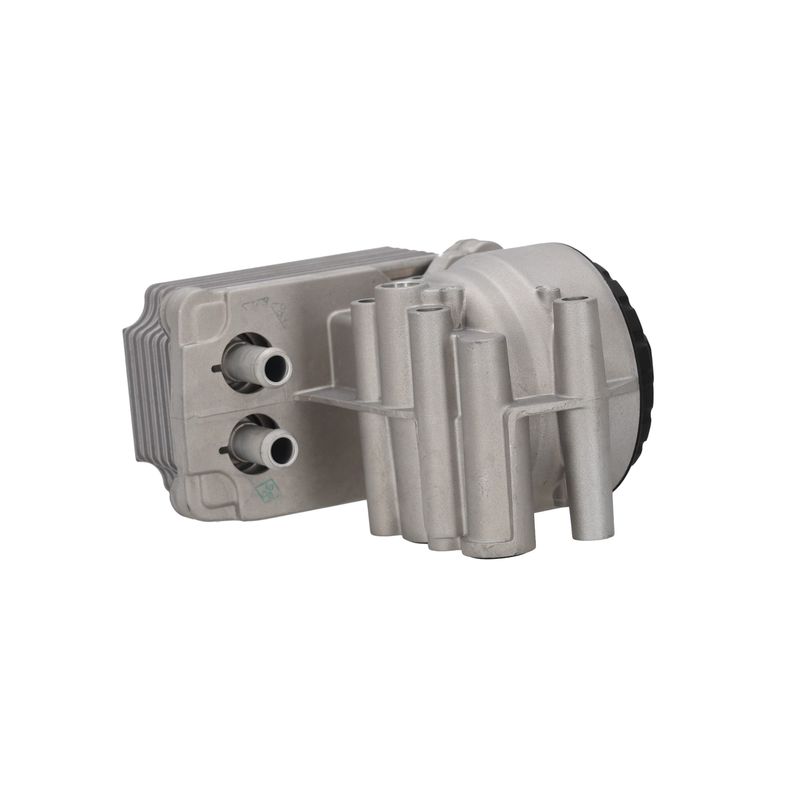 Image 21