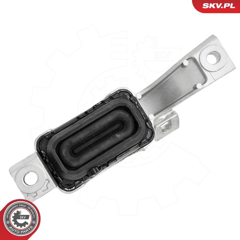 Paigutus, Mootor, ESEN SKV 75SKV119