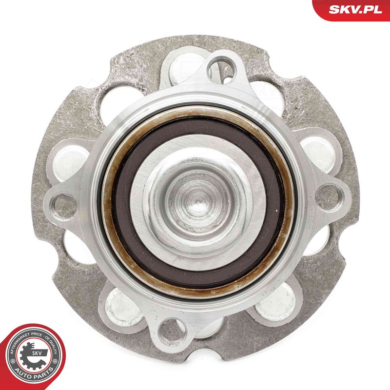 ESEN SKV 29SKV605 Wheel Bearing Kit