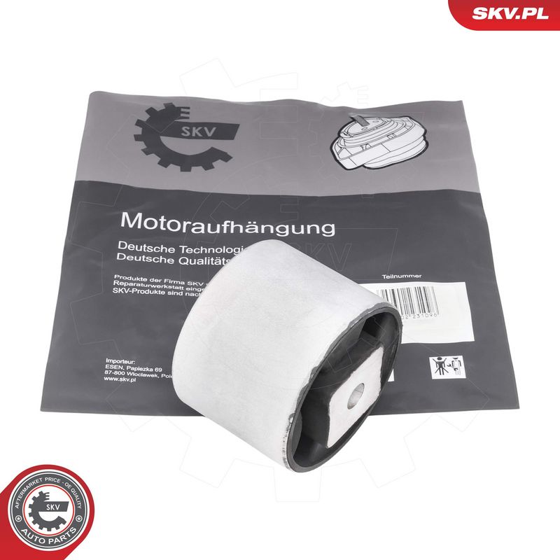 Paigutus, Mootor, ESEN SKV 75SKV013
