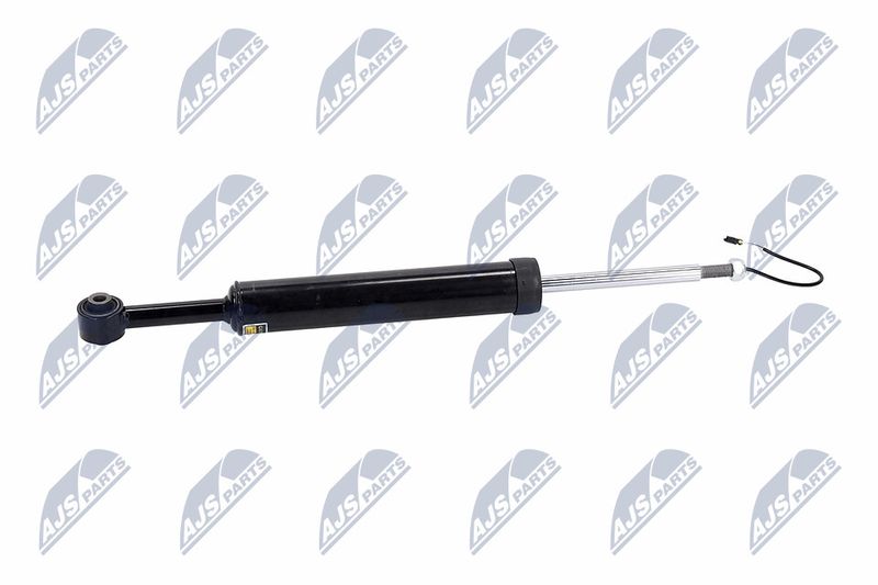 Amort, NTY A-MA-002