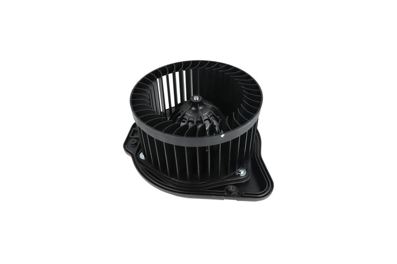 Salongipuhur, NRF 34136