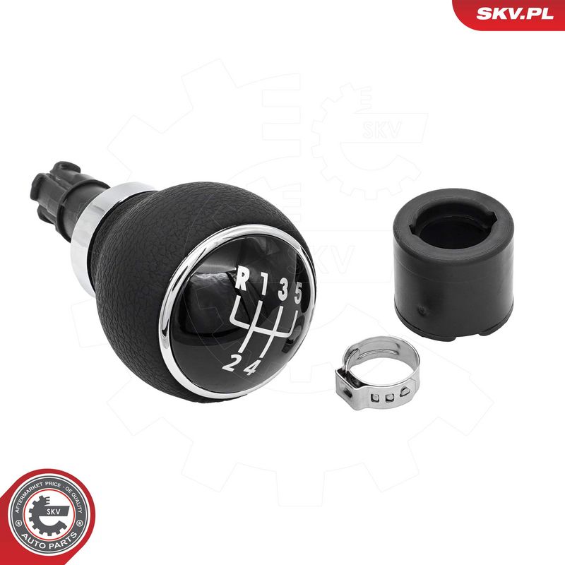 Käigukanginupp, ESEN SKV...