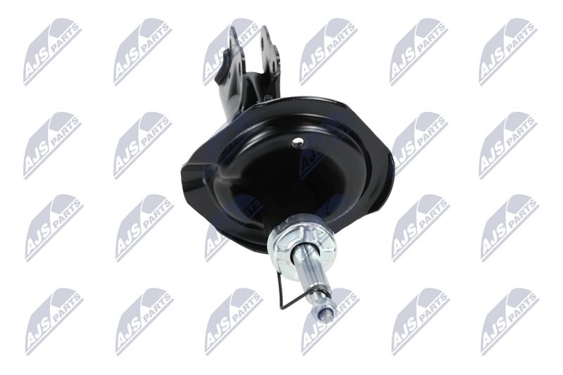 Amort, NTY A-MS-016