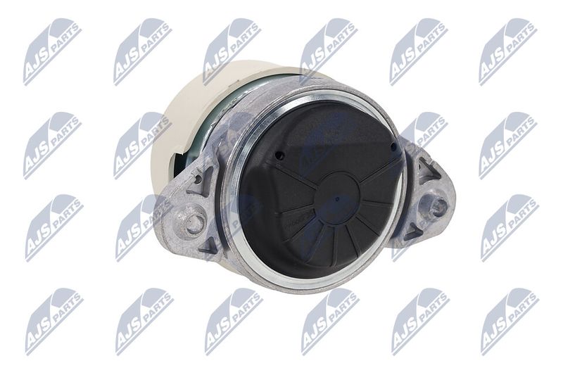 Paigutus, Mootor, NTY ZPS-ME-038